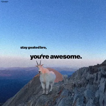 byElevenstoic Instagram post